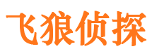 天桥市婚姻出轨调查